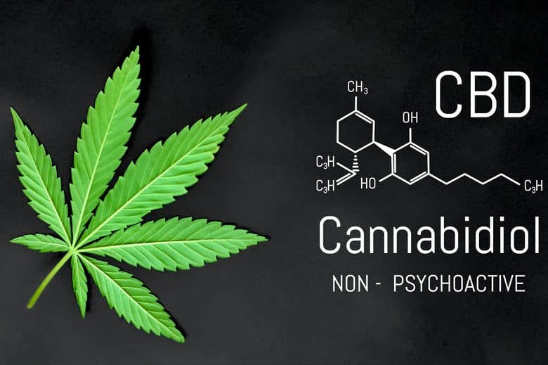 Le cannabidiol : 4  de ses différentes formes disponibles sur le marché