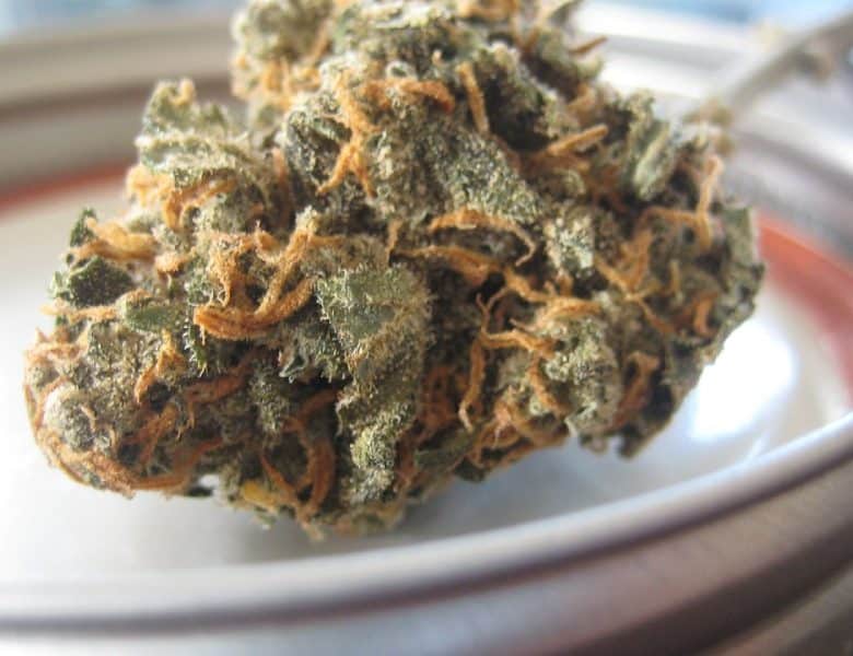 Qu&rsquo;est-ce que la fleur de CBD et pourquoi en consommer ?