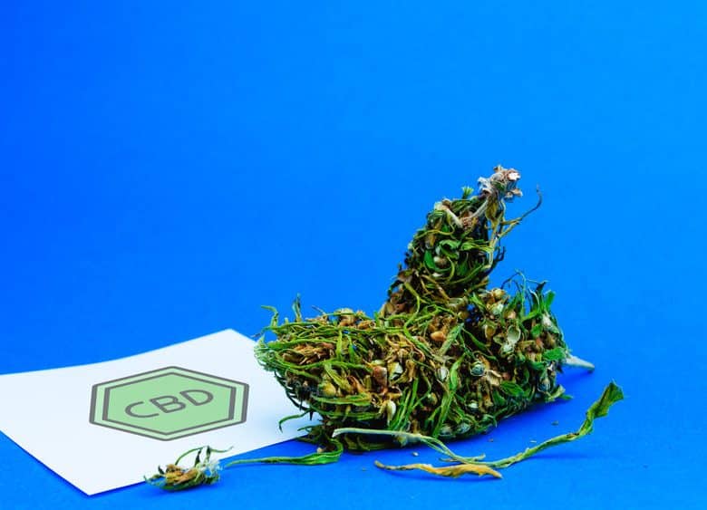 Fleur de CBD : Quelles sont les différentes manières de la consommer ?