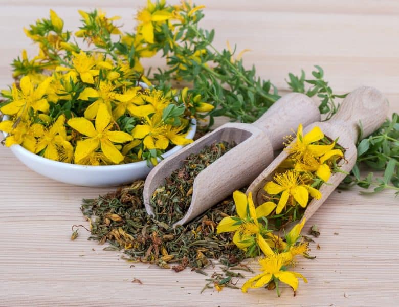 Les bienfaits de l&rsquo;herboristerie et les avantages de l&rsquo;achat en ligne