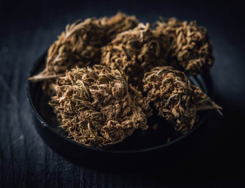 Utiliser les fleurs de CBD pour une meilleure santé au quotidien