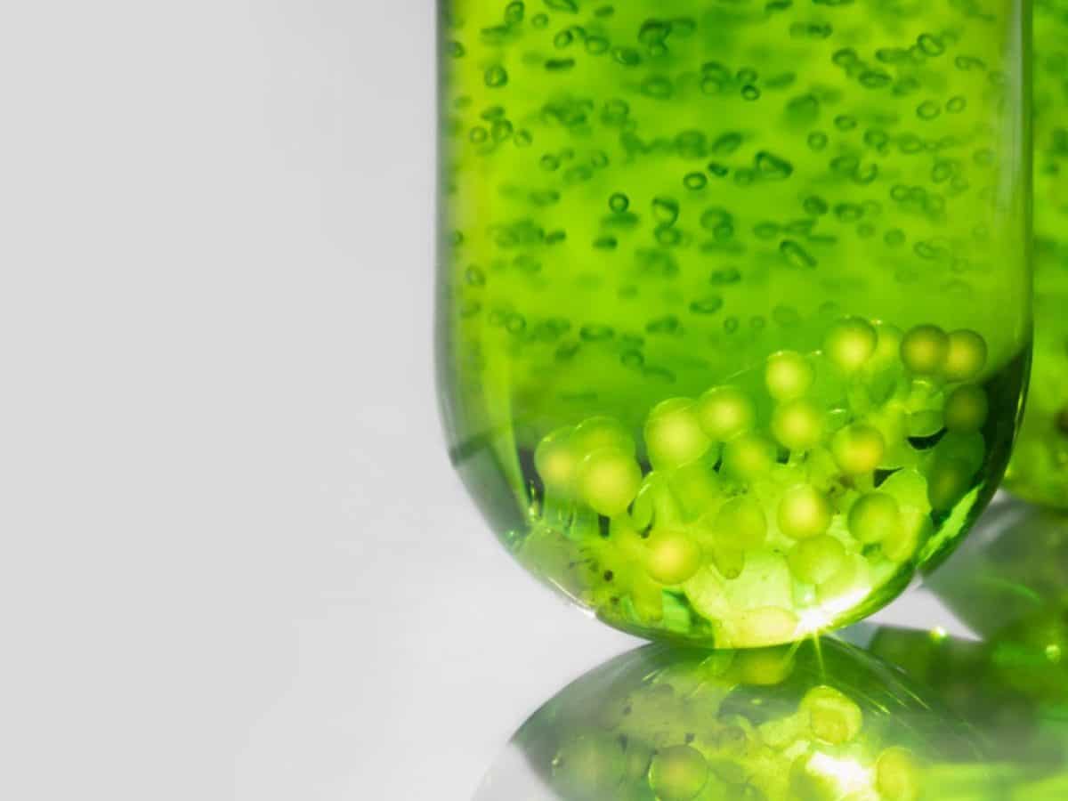 Silicium organique : un minéral essentiel pour la santé !