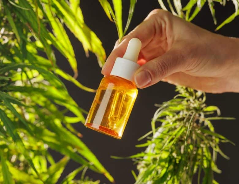 Comment choisir son huile de CBD ?