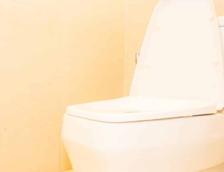 WC japonais : comment ces toilettes high-tech améliorent votre hygiène ?