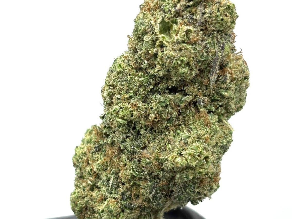 NL3 (CBDX) : l’évolution qui succède au NL1 et rivalise avec le THV-N10