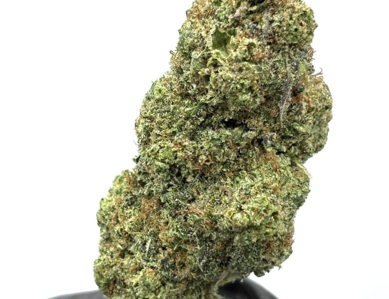 NL3 (CBDX) : l’évolution qui succède au NL1 et rivalise avec le THV-N10